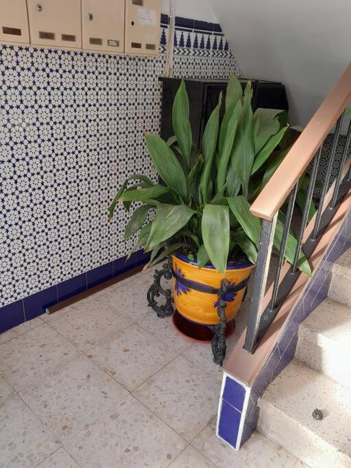 Disfruta De Un Barrio Tranquilo Appartement